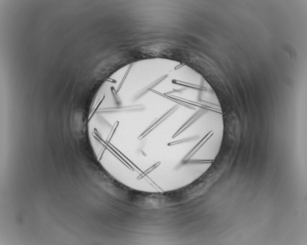 X0000111010420200907171838