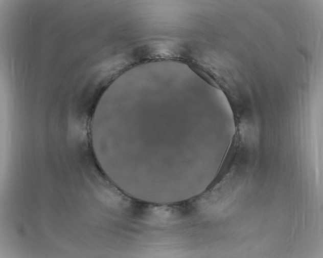 X0000111010423200907171838