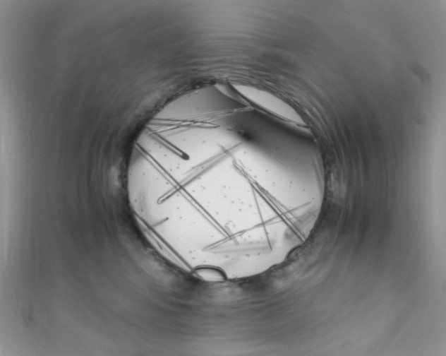 X0000111010424200907171838