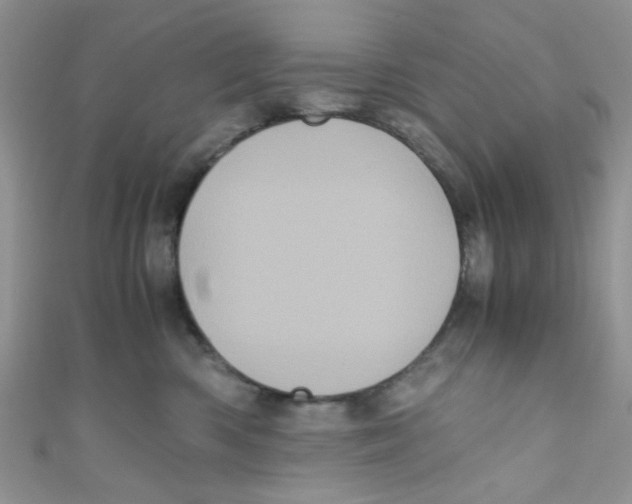 X0000111010426200907171838