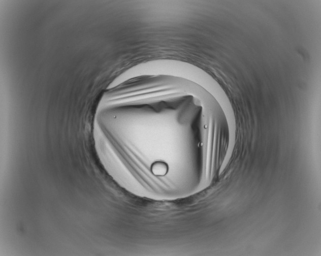 X0000111010427200907171838