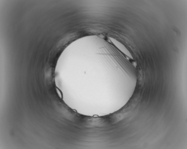 X0000111010428200907171838