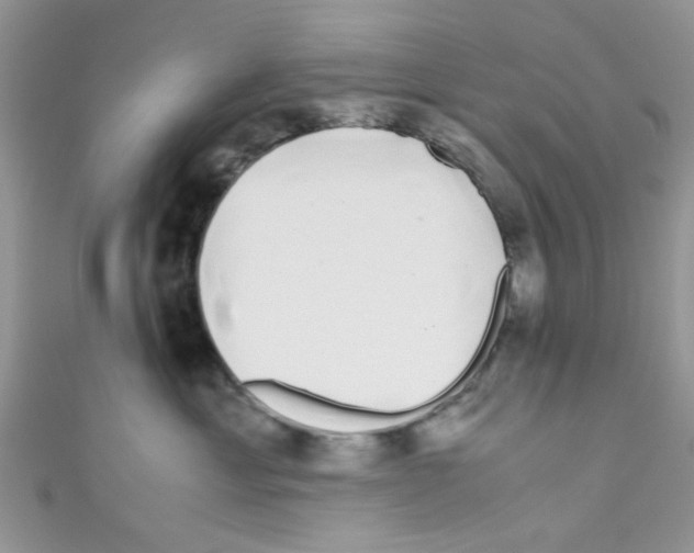 X0000111010429200907171838
