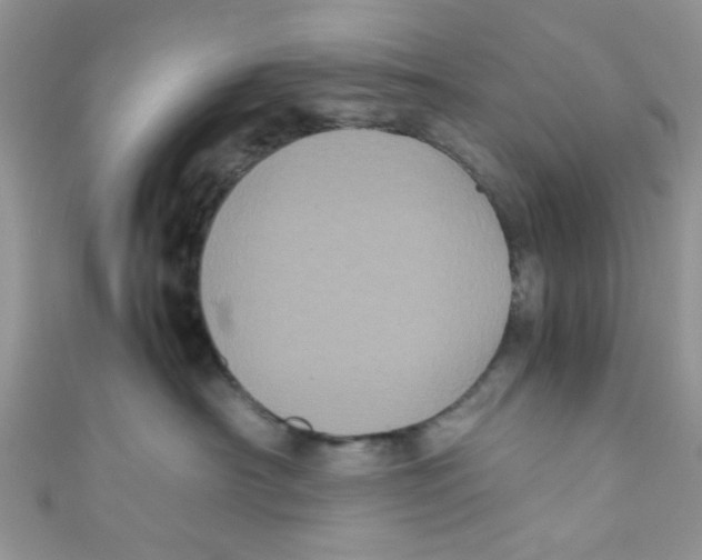 X0000111010430200907171838