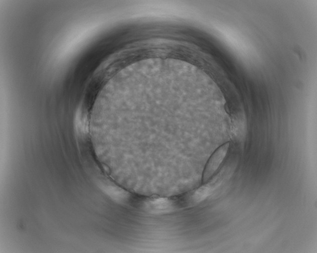 X0000111010431200907171838