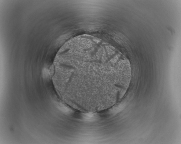 X0000111010432200907171838