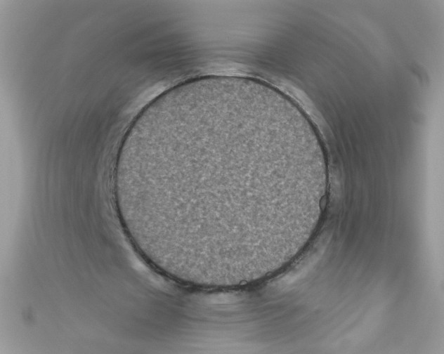 X0000111010433200907171838