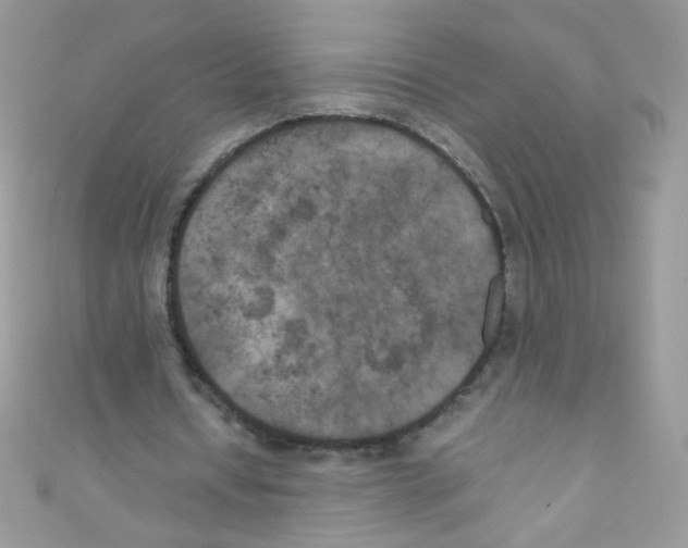 X0000111010434200907171838