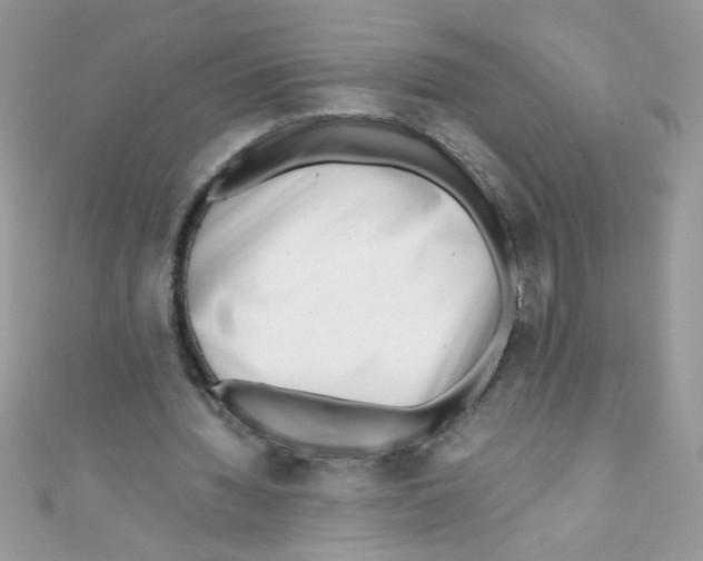 X0000111010436200907171838