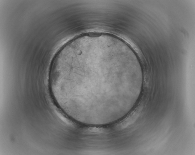 X0000111010437200907171838