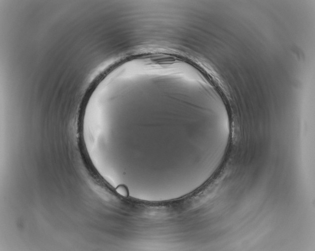 X0000111010438200907171838