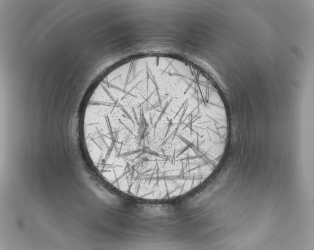 X0000111010439200907171838