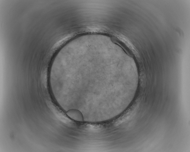 X0000111010442200907171838
