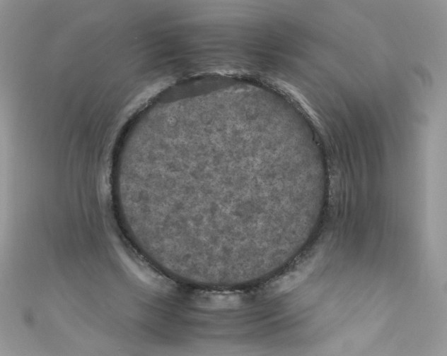 X0000111010443200907171838