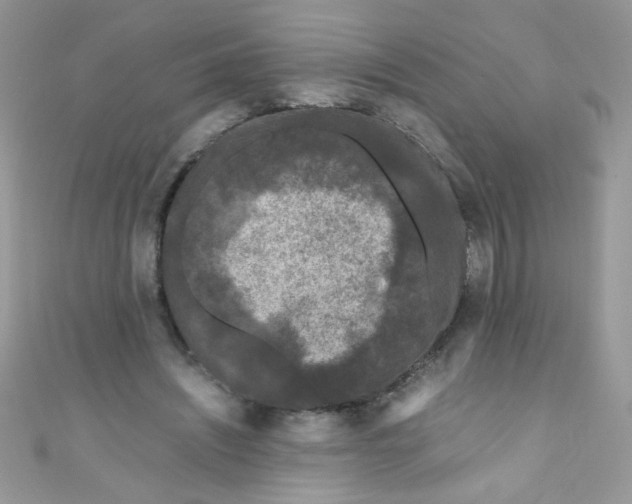 X0000111010444200907171838
