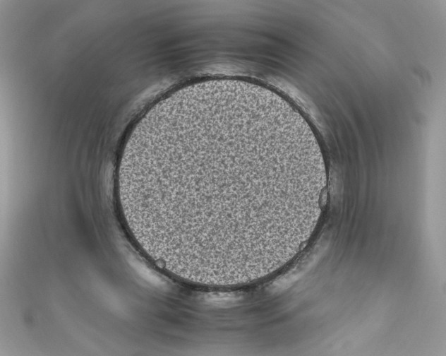 X0000111010445200907171838
