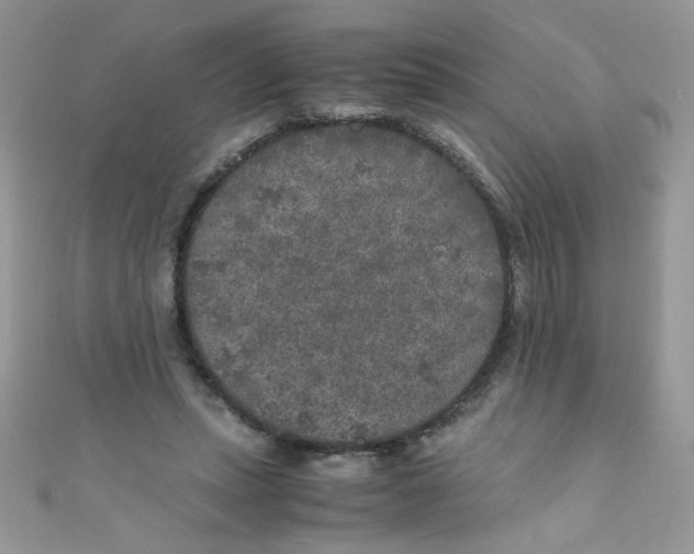 X0000111010447200907171838