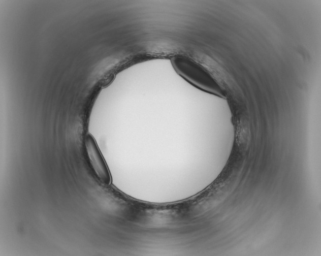 X0000111010448200907171838