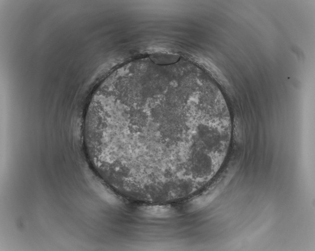 X0000111010449200907171838