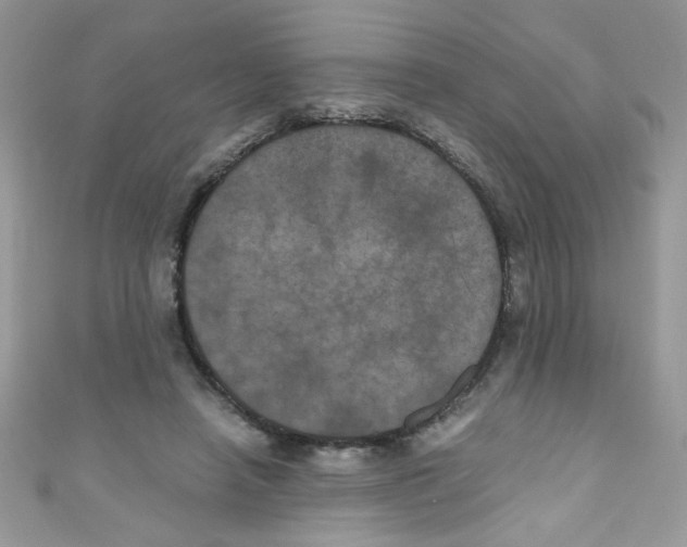 X0000111010450200907171838