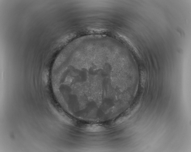 X0000111010451200907171838