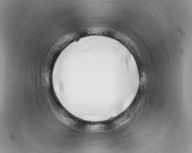 X0000111010452200907171838