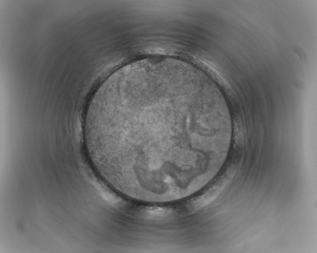 X0000111010453200907171838