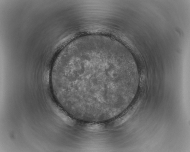X0000111010454200907171838