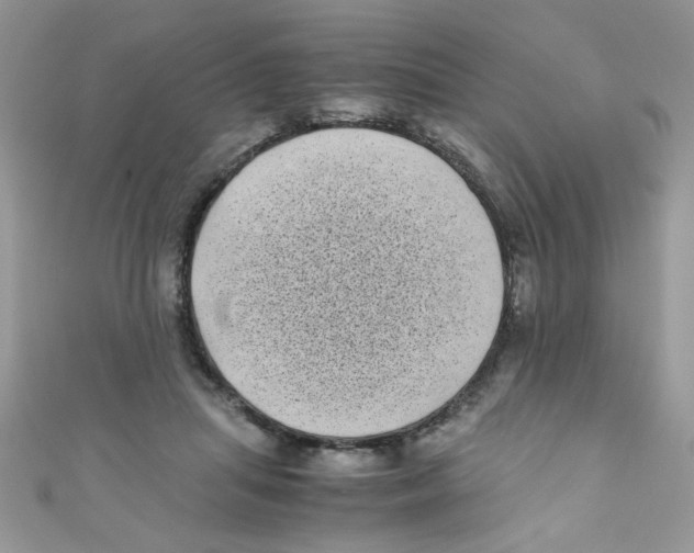 X0000111010455200907171838