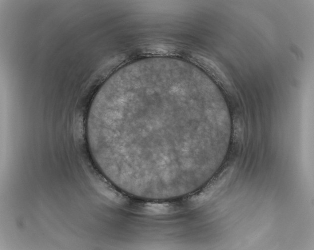 X0000111010457200907171838