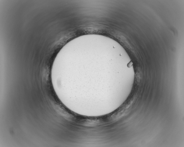 X0000111010458200907171838