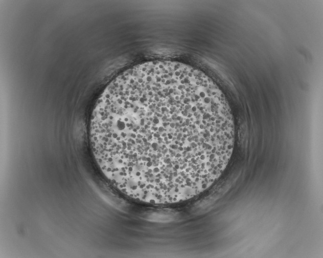X0000111010459200907171838