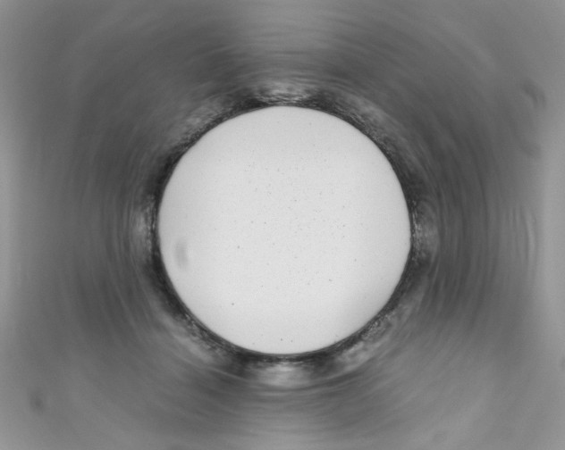 X0000111010460200907171838