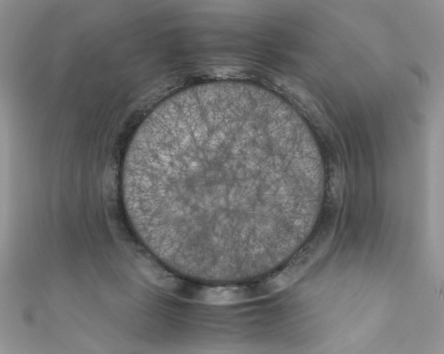 X0000111010461200907171838