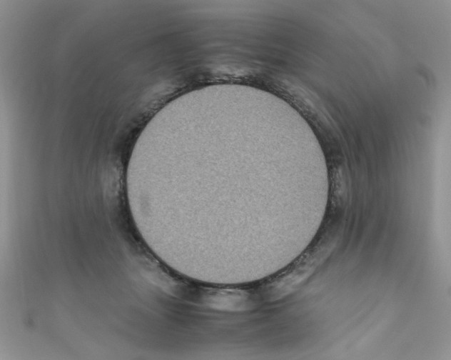 X0000111010463200907171838
