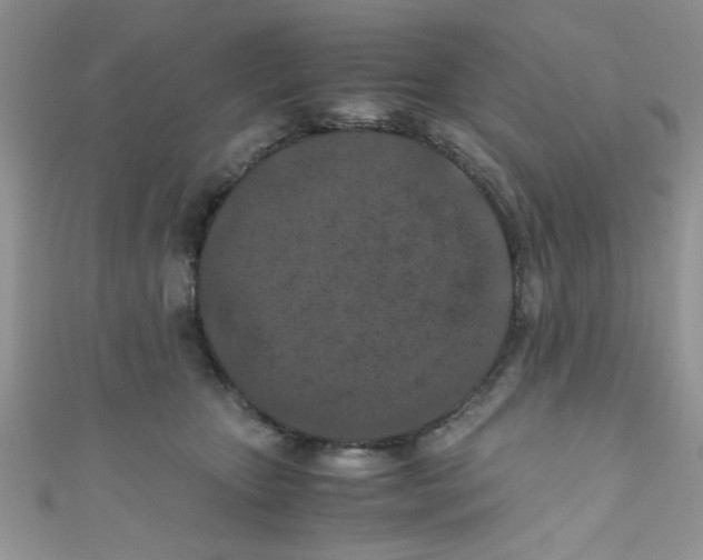 X0000111010467200907171838