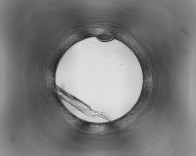 X0000111010469200907171838