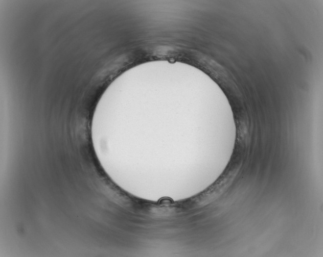 X0000111010470200907171838