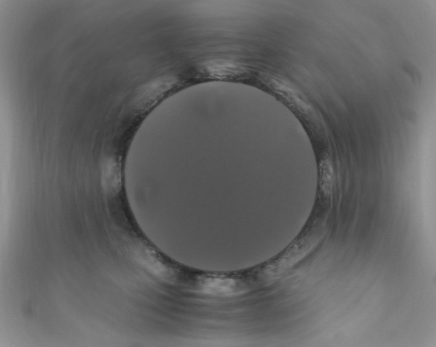 X0000111010471200907171838