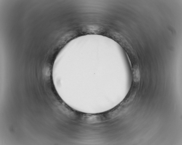 X0000111010472200907171838