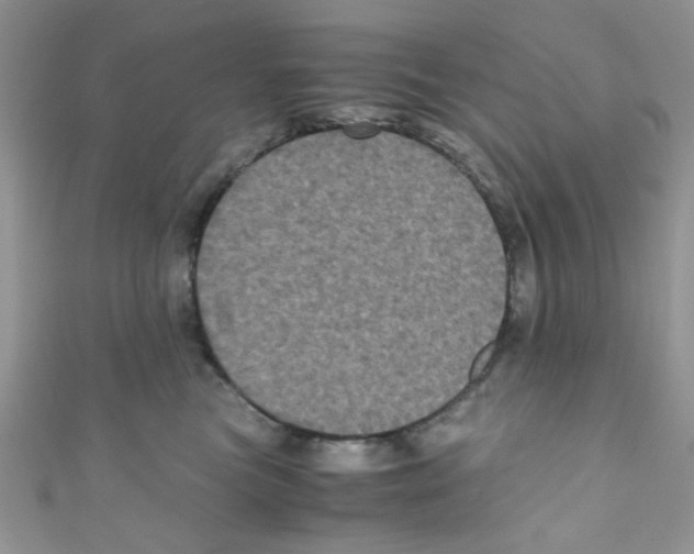X0000111010473200907171838