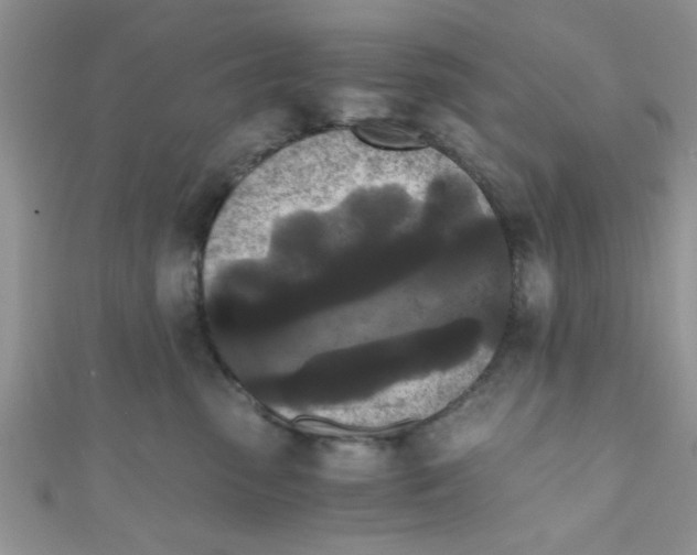 X0000111010475200907171838