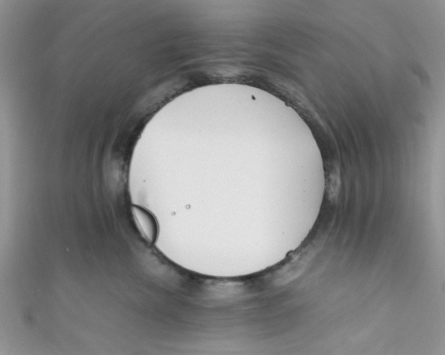 X0000111010476200907171838