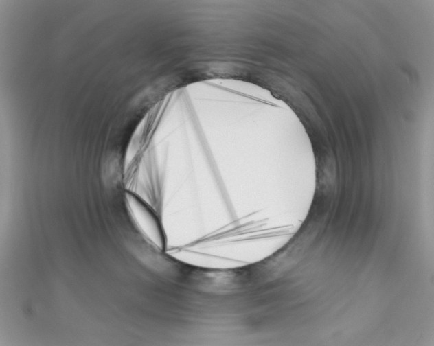 X0000111010478200907171838