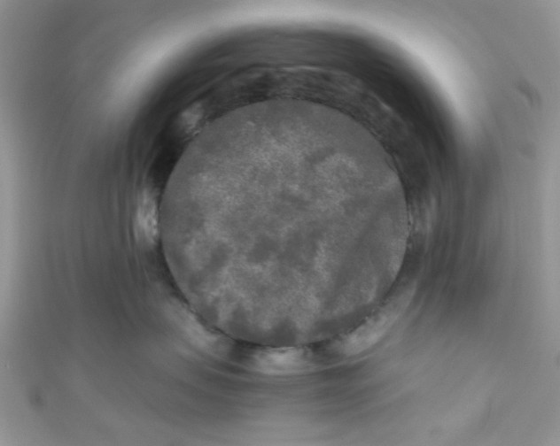 X0000111010479200907171838