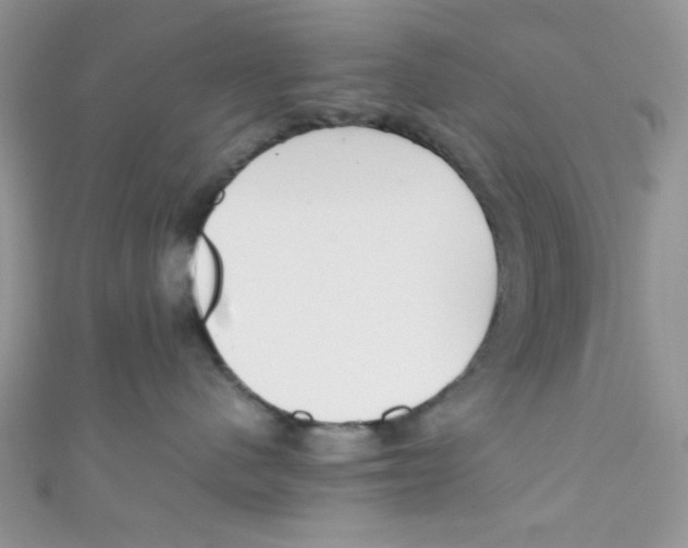 X0000111010480200907171838