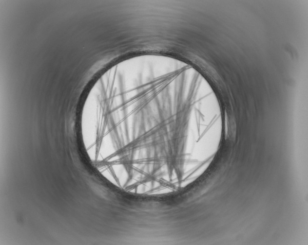 X0000111010483200907171838