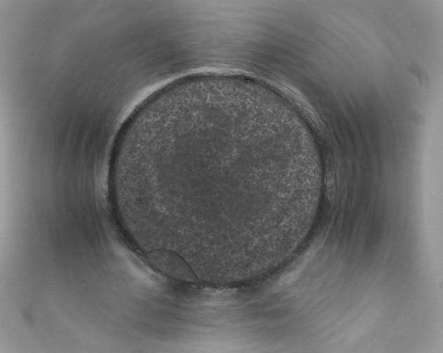 X0000111010484200907171838