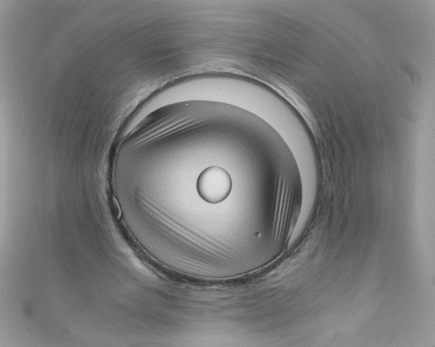 X0000111010485200907171838