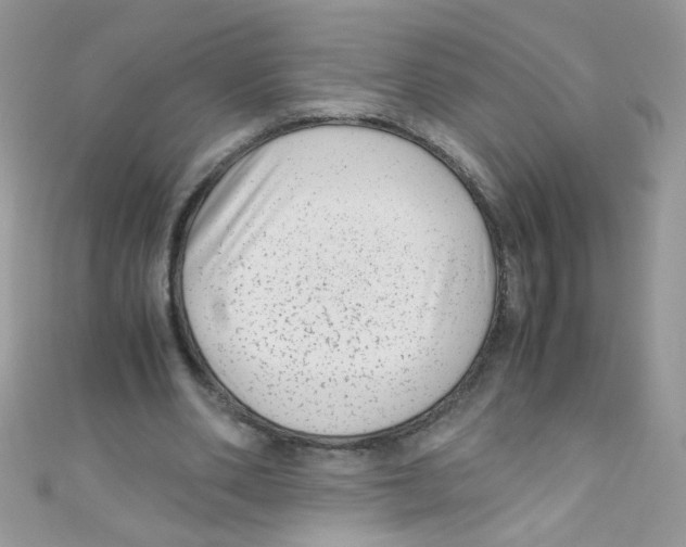 X0000111010486200907171838